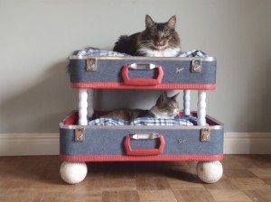 repurposed suitcase cat bunkbed