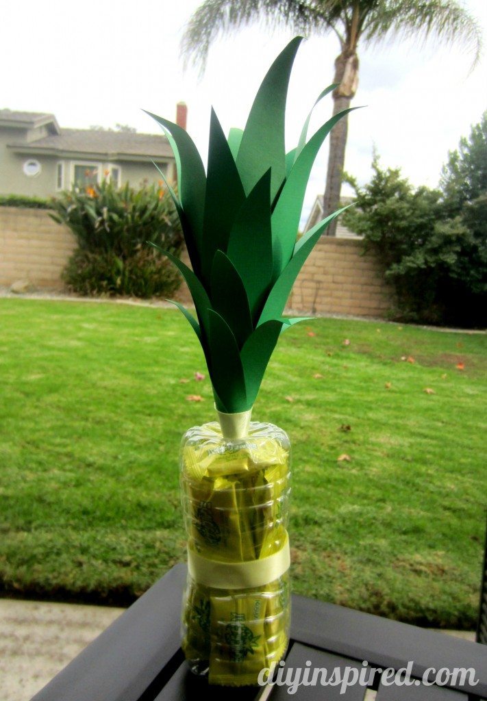 recycled-water-bottle-pineapple (2)