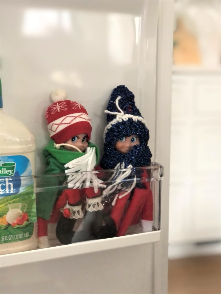 Elves in a Refrigerator