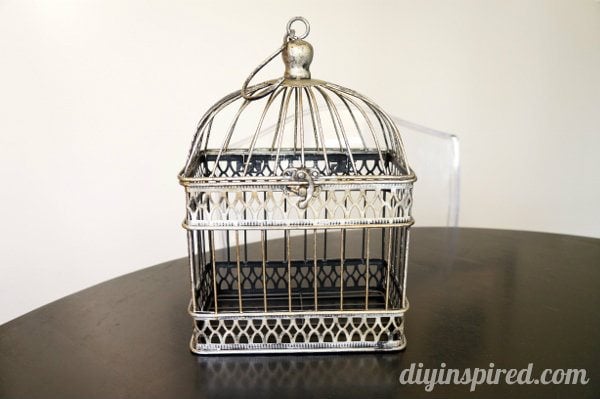 spray-painted-birdcage (1)