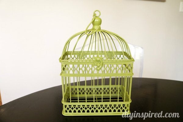 spray-painted-birdcage