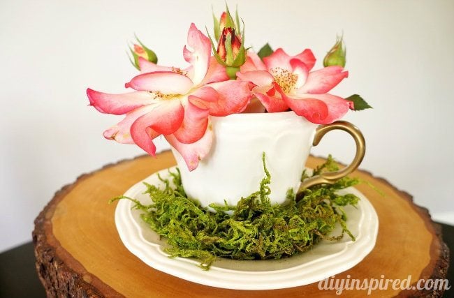 alice in wonderland tea cup