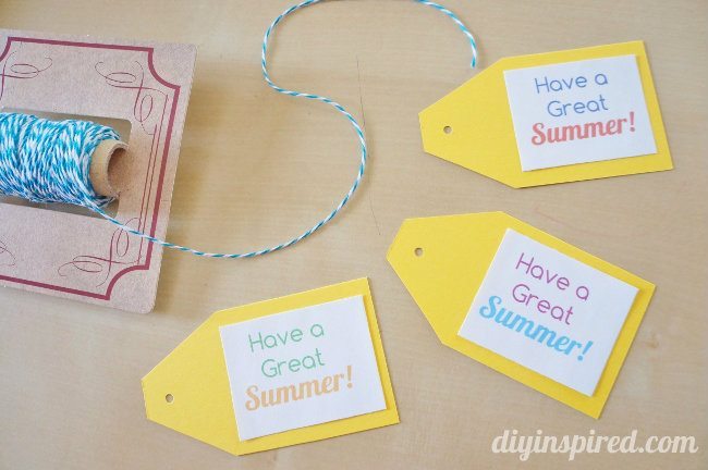 Summertime Party Favors Gift Idea (4)
