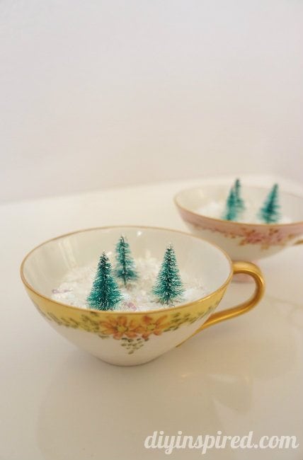 Winter Forest in Vintage Tea Cups