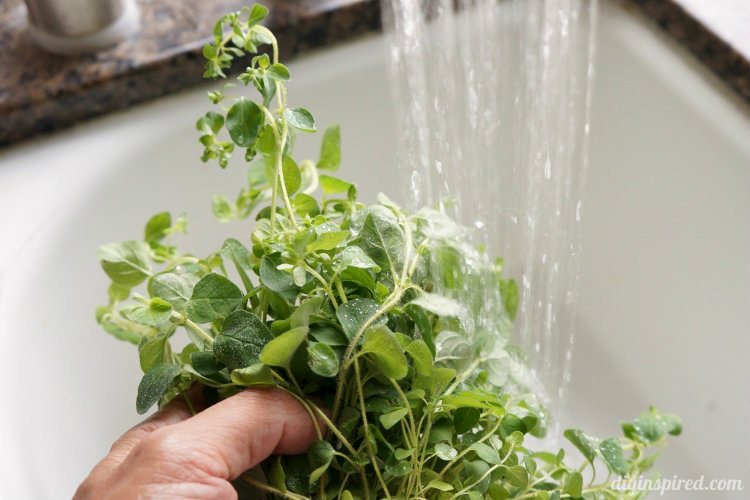Drying Your Own Herbs (1)