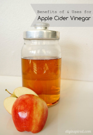 Benefits and Uses for Apple Cider Vinegar - DIY Inspired