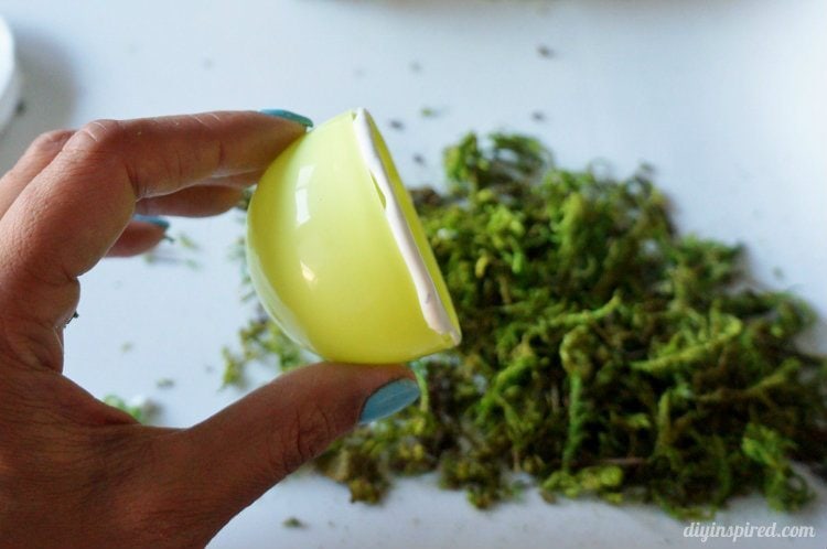 DIY Moss Eggs (3)