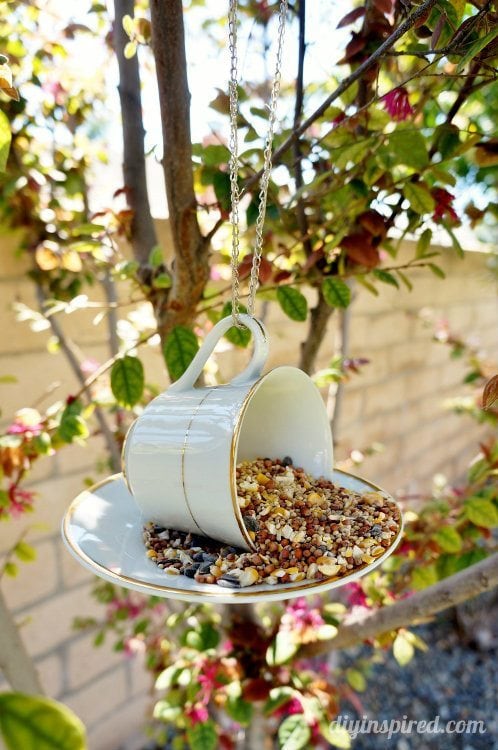 Fallen Fruits Best for Birds China Tea Cup or Teapot with Saucer Bird Feeders 