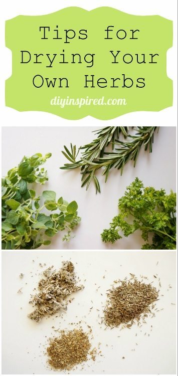 Tips for Drying your own Herbs
