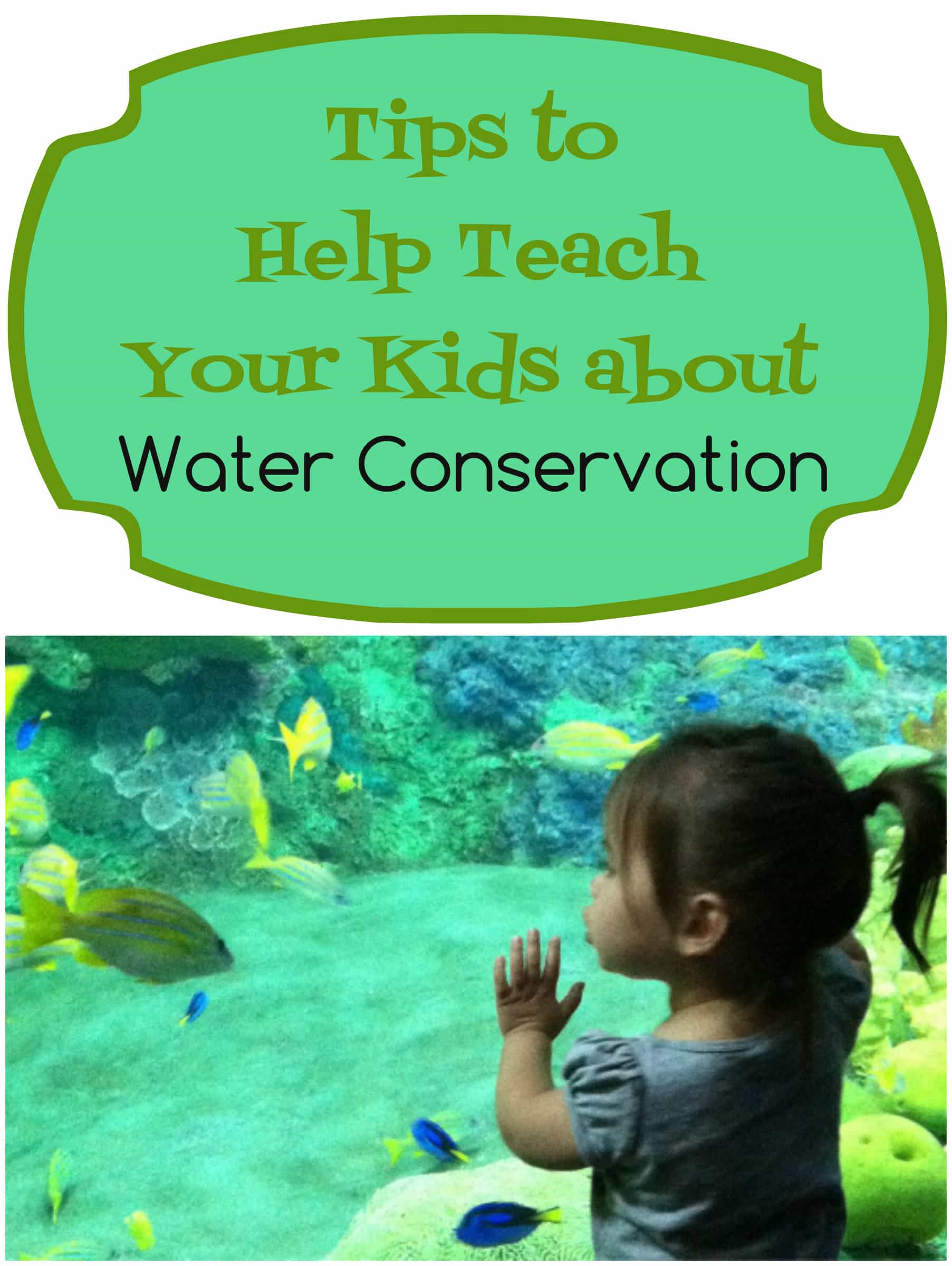 Water Conservation for Kids DIY Inspired