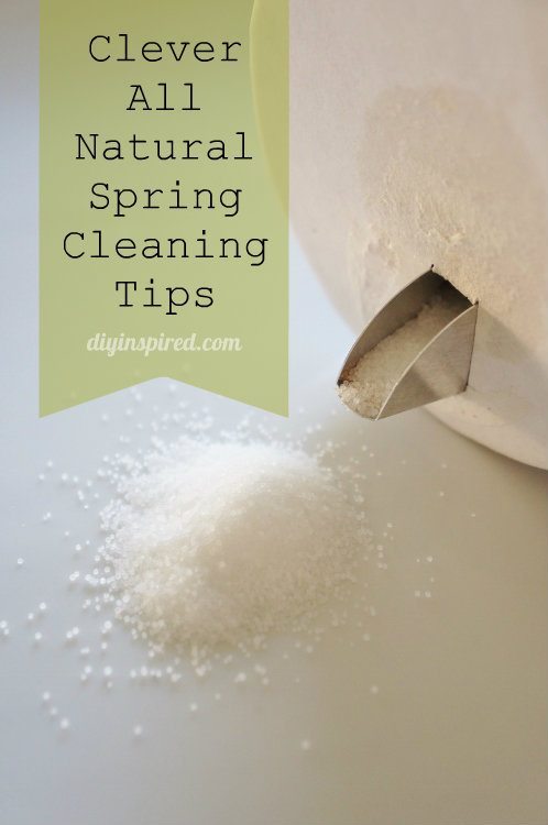 Clever All Natural Spring Cleaning