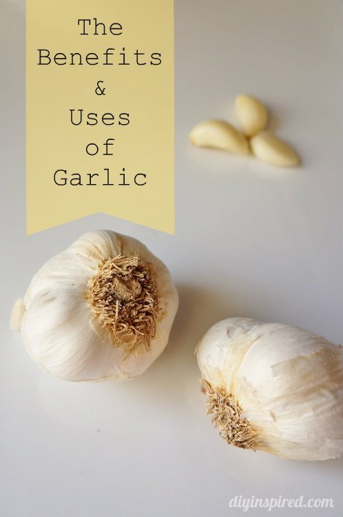 The Benefits of Garlic