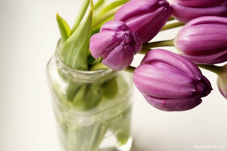 Mason Jar with Tulips