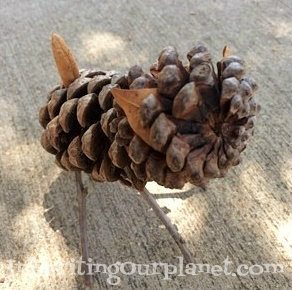 Upcycled Pine Cone Pets