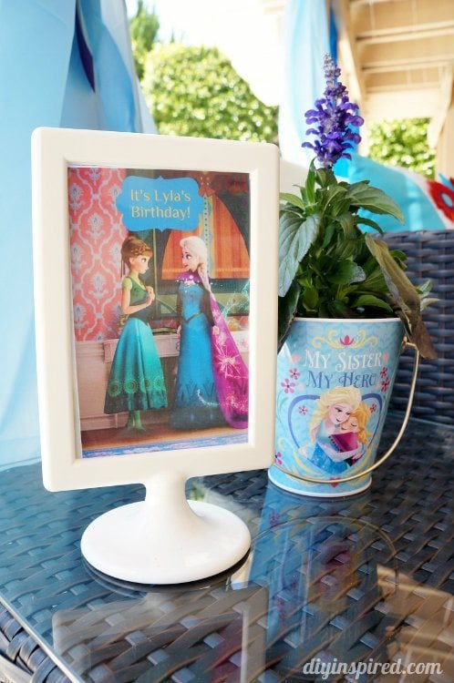 Frozen Fever Party Flowers with Picture