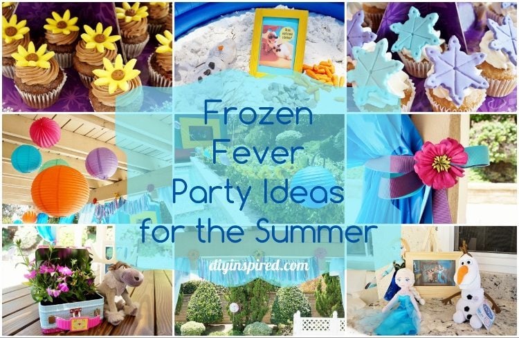 Frozen Fever Summer Birthday Party Ideas