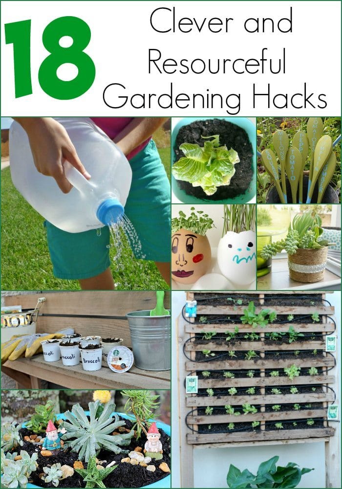 Clever and Resourceful Gardening Hacks DIY Inspired