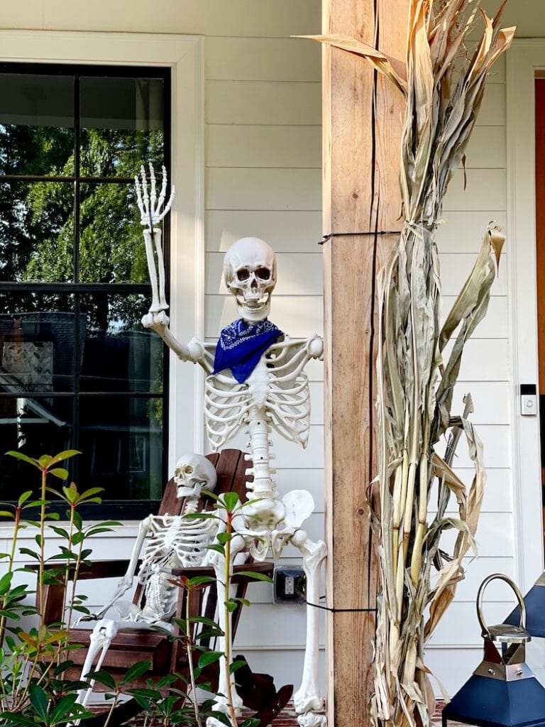 Halloween Skeleton Decorating Ideas
