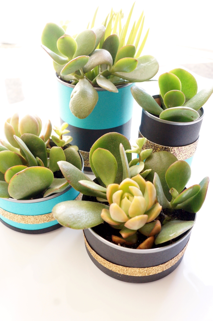 Recycled Can Centerpieces with Succulents