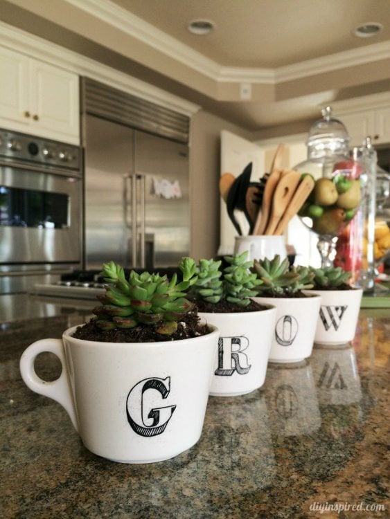 Repurposed Coffee Cup Succulent Garden - DIYInspired