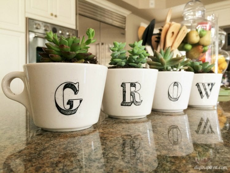 Repurposed Coffee Cup Succulent Garden