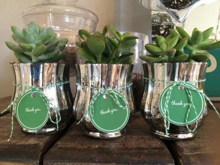 Succulent Gift with Thank You Printable