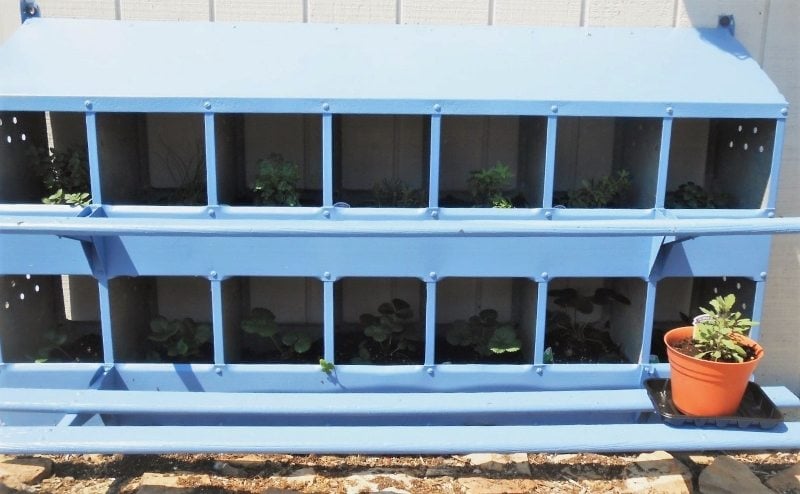 Chicken Nesting Box Turned Herb Home Repurposed