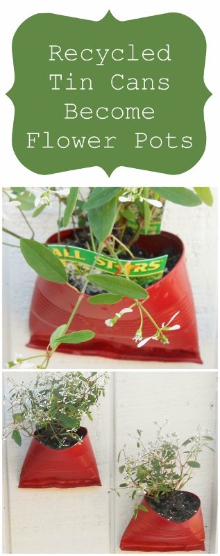 Recycled Tin Cans Become Flower Pots DIY Inspired