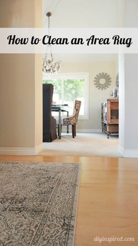 How to Clean an Area Rug - DIY Inspired