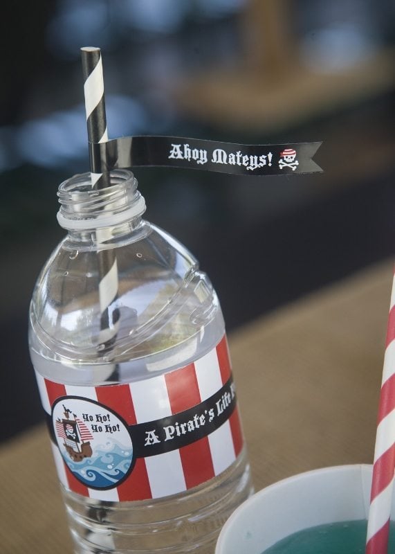 Pirate Party Ideas Drink Straws