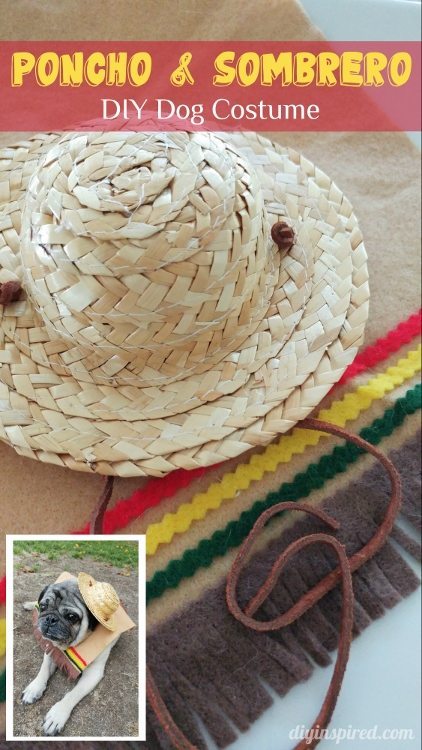 DIY Poncho and Sombrero Halloween Costume for Dogs - DIY Inspired