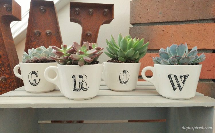 repurposed-coffee-cups-turned-planters