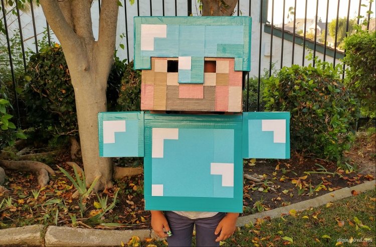 DIY Minecraft Costume Instructions