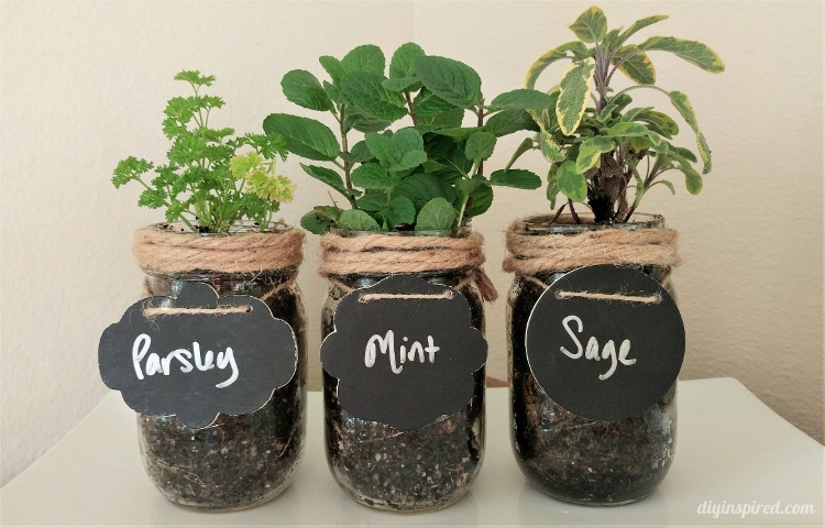 DIY Mason Jar Herb Garden Instructions