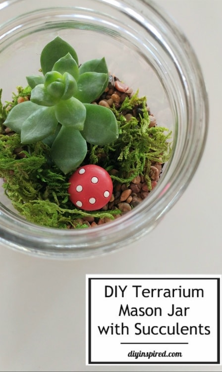 Diy Mason Jar Terrarium With Succulents Diy Inspired,Ikea Bookshelf Hack Kids