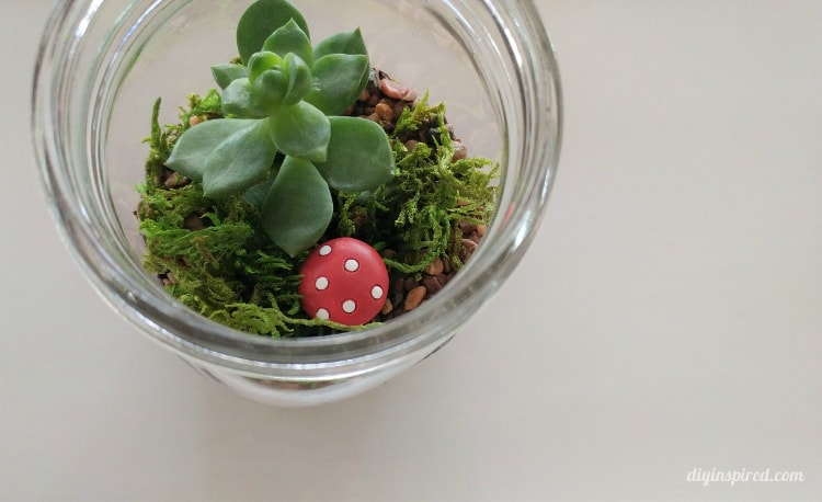 DIY Mason Jar Terrarium with Succulents
