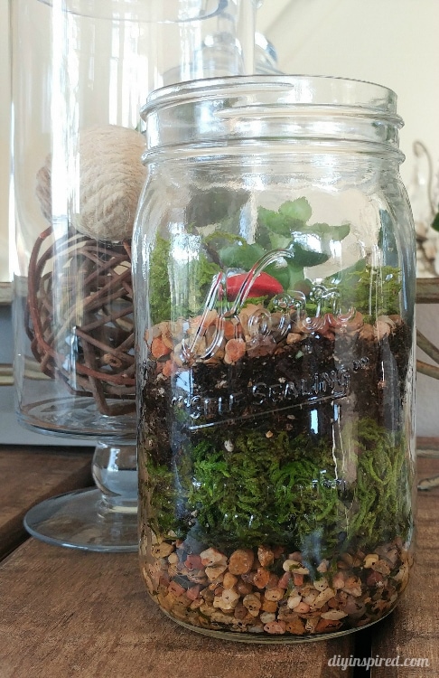 Diy Mason Jar Terrarium With Succulents Diy Inspired,Smores In The Oven