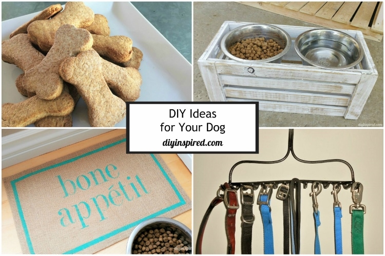 DIY Ideas for Your Dog