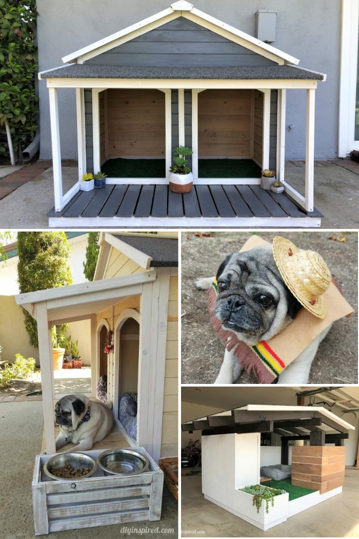 DIY Ideas for Your Dog