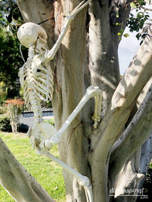 Halloween Decorating with Skeletons DIY Inspired
