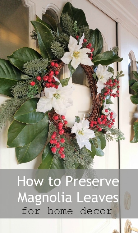 How to Preserve Magnolia Leaves with Mod Podge for Home Décor