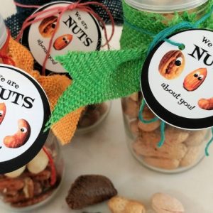 Get a free printable We Are Nuts About You tag for a healthy handmade gift