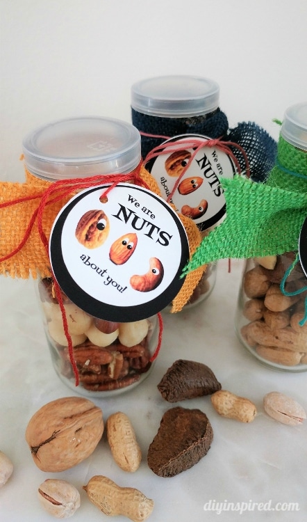 Get a free printable We Are Nuts About You tag for a healthy handmade gift