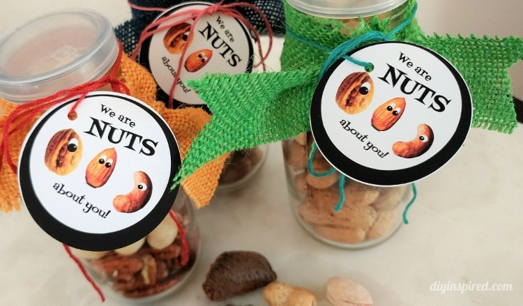 We Are Nuts About You Gift Idea