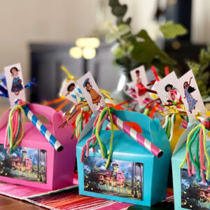 Encanto Party Favor Boxes